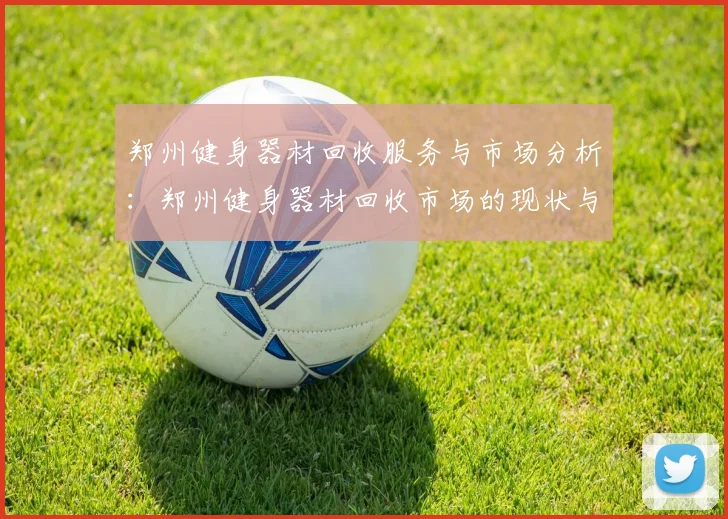 郑州健身器材回收服务与市场分析:郑州健身器材回收市场的现状与前景